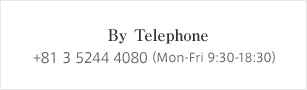 By Telephone　81 3 3519 6565